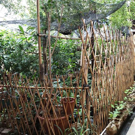 Natural Bamboo Fencebamboo Trellisbamboo Folding Fence For Garden