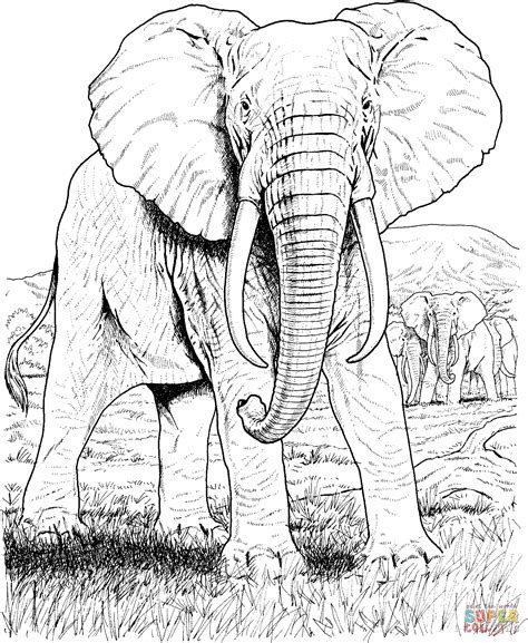Https://techalive.net/coloring Page/african Safari Coloring Pages