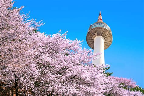 21 Best Things To Do In Seoul What Is Seoul Most Famous For Go Guides