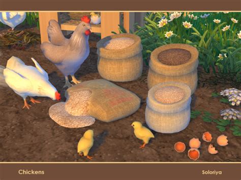 Chickens By Soloriya From Tsr Sims 4 Downloads
