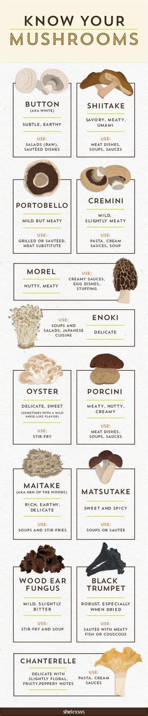 60 Cooking Diagrams Thatll Make You An Expert Chef Stuffed Mushrooms