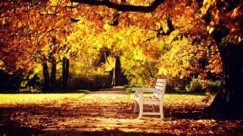10 Best Hd Autumn Wallpapers 1080p Full Hd 1920×1080 For