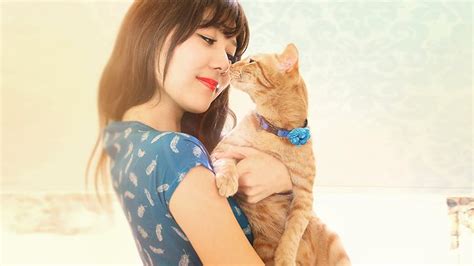 11 Reasons Your Crazy Cat Obsession Makes You Happier And Healthier