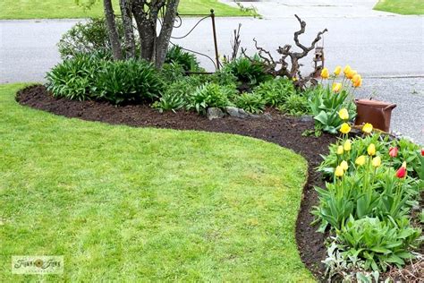 Learn How To Freshen Up Flowerbed Edges Like A Pro Part 2 With Video