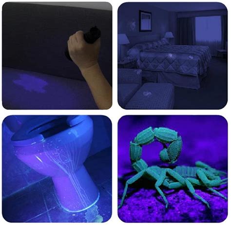 guide to the best uv blacklight flashlight for seeing stains in 2023