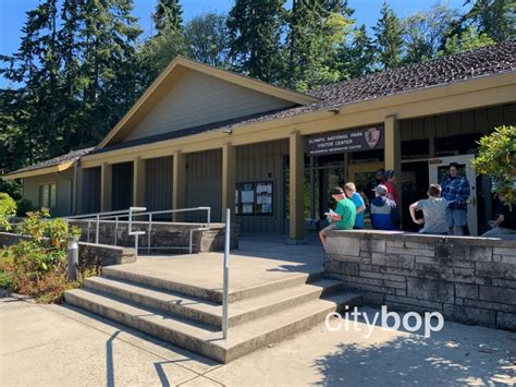 10 Very Best Things At Olympic National Park Visitor Center