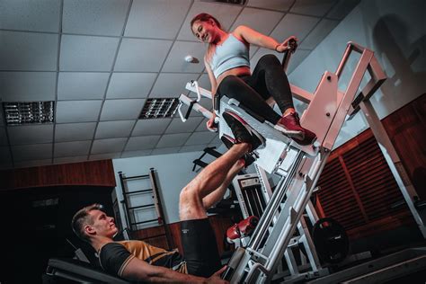 5 Best Leg Press Alternatives You Can Do At Home Fit Normies