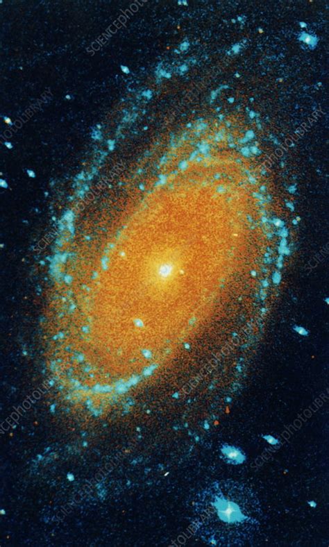 Spiral Galaxy M81 Stock Image R8560002 Science Photo Library