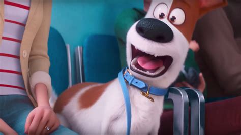 First Trailer For The Secret Life Of Pets Asks If We Really Know Our