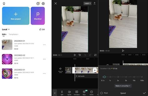 How To Put A Video In Fast Or Slow Motion With Capcut