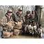 Green Timber Duck Hunting  AR Trips4Trade