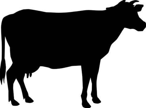 Cow Spots Svg Png Cow Print Svg Cow Pattern Svg Cow Svg Etsy Cow Images And Photos Finder