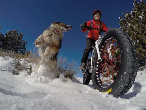 New horizons, and you can do so very early on in the game. Do Dogs Smile? - Singletracks Mountain Bike News