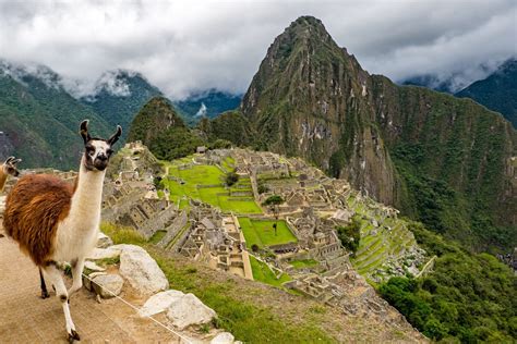Los Elementos Más Importantes De La Cultura Peruana Absolut Viajes