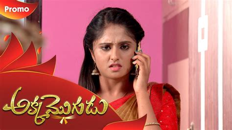 Akka Mogudu Preview 29th November 19 Gemini Tv Serial Telugu