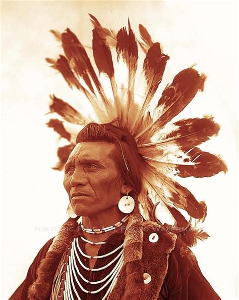 Flathead Indian Chief Eagle Old Photo Warrior Headdress