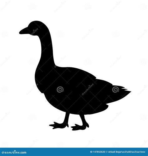 Goose Vector Silhouette Illustration Isolated On White Background