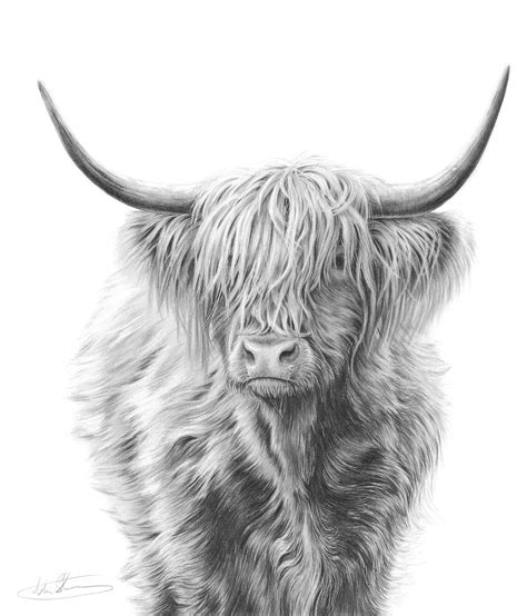 Highland Cow Art Cow Painting Cow Art