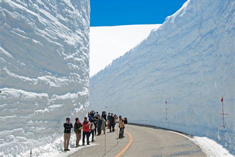 Snow Monsters To Skiing Hokkaidos World Famous Snow Sakuraco