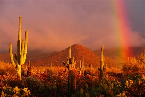 Rainbow Sunset At The Saguaro National Park Arizona Usa Fubiz Media