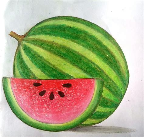 Pastel Colour Watermelon Fruits Drawing Watermelon Art Painting