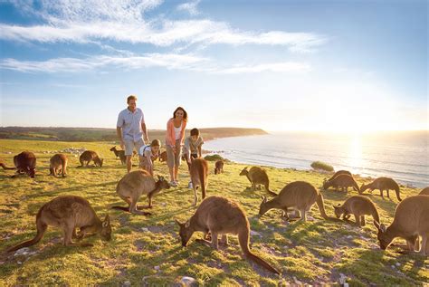 Adelaide Discover With Kangaroo Island Stay