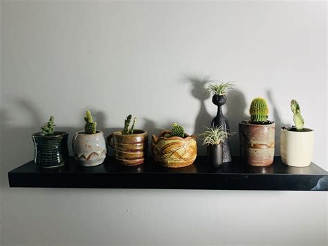 My Little Cacti Shelf Ive Added Another Shelf And More Plants Since