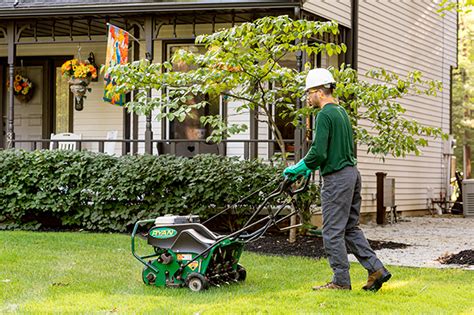 It pulls out approximately one half inch wide and three inches long grass and soil plug. Lawn Aeration & Overseeding Service | Davey Tree
