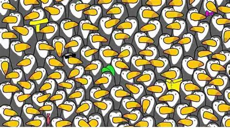 Optical Illusion You Are A Genius If You Can Spot The Hidden Penguin In 13 Seconds