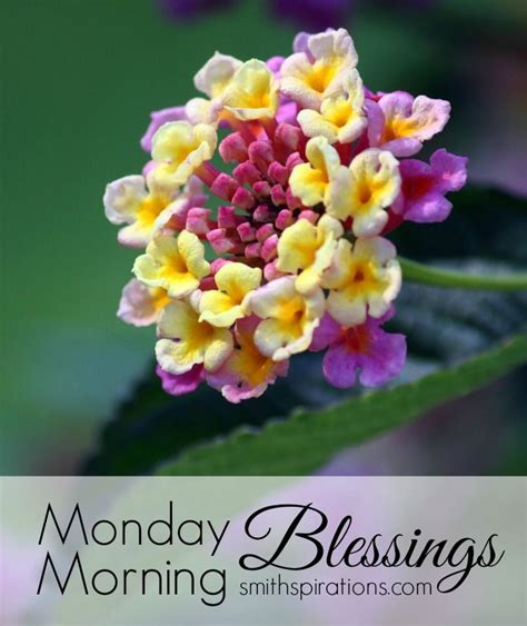 Monday Morning Blessings Pictures Photos And Images For
