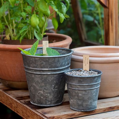 Buy Ringed Galvanised Grow Pot Delivery By Waitrose Garden