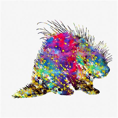 Porcupine Colorful By Erzebet S Art Art Projects Porcupine
