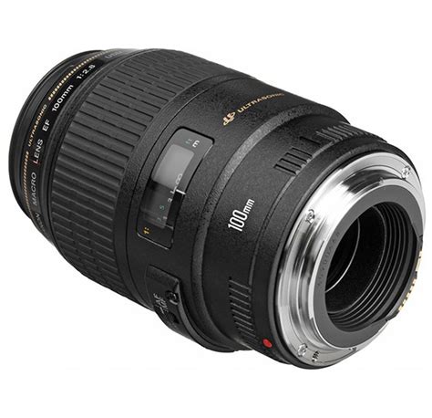 buy canon ef 100mm f 2 8 macro usm fixed lens for dslr cameras online ok1903