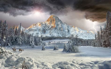 Mount Chephren Canadian Rockies Vally Winter Landscape Forest Cloud