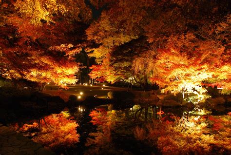 Autumn Night ~ Autumn Posters Picture