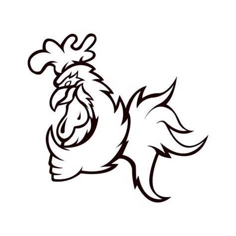 150 Drawing Of The Fighting Cocks Illustrations Royalty Free Vector