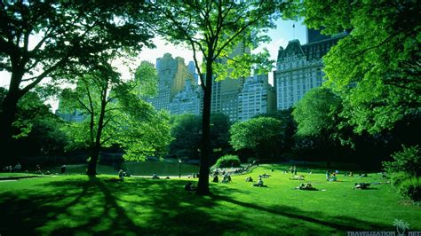 1920x1080 Central Park Wallpaper Data Id 367223 1080p Wallpapers