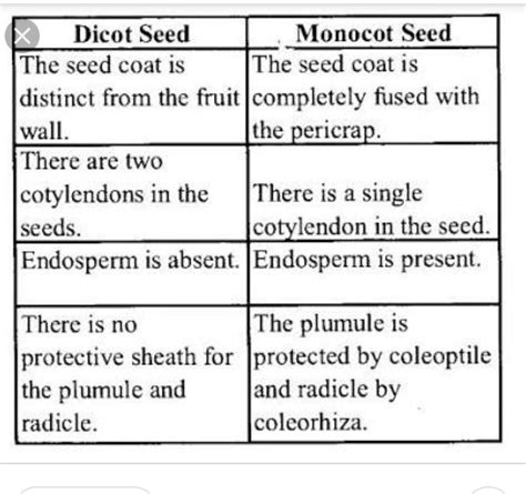 The Difference Between Monocot And Dicot