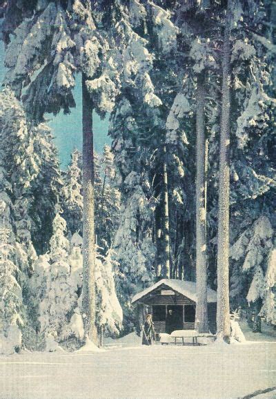 ~ Black Forest December 1st 1928 Black Forest Germany Winter