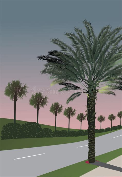 Green Palm Trees And Road At Sunset Stock Vector