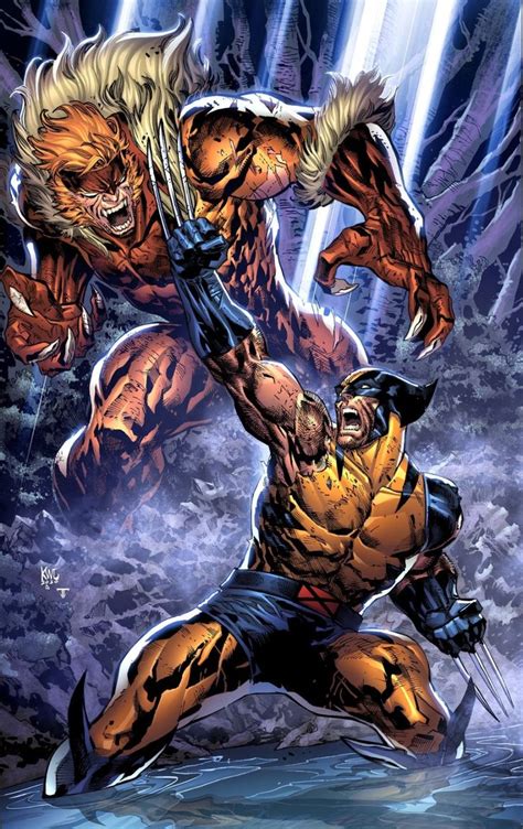 Wolverine Vs Sabretooth Ken Lashley Wolverine Comic Wolverine