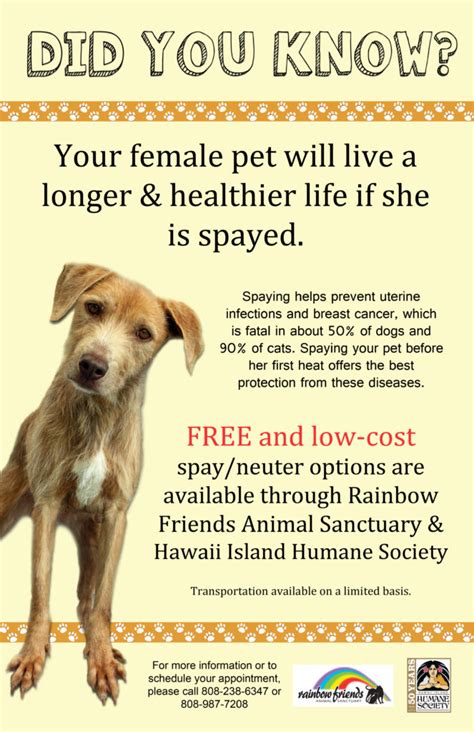 Neuter $74 | cat spay $85; Education Spay Neuter Rainbow Friends Animal Sanctuary