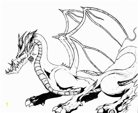 free printable coloring pages of dragons