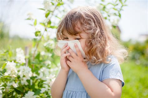 Seasonal Allergies Bristol Pediatric Associates