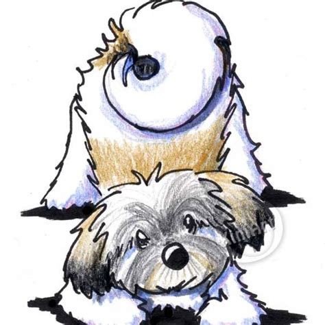 Havanese Dog Art Playful Puppy Aceo Drawing Etsy Havanese Dogs Dog