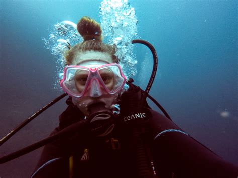 The Complete Guide To The South West Rocks Dive Nsw Australia Fish