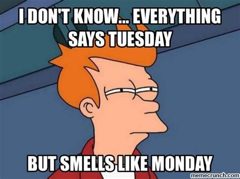 Everything Says Tuesday But Smells Like Monday Pictures Photos And