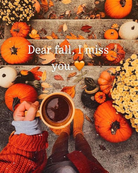 I Feel This In My Autumn Soul Bring On The Pumpkins Hot Drinks Crisp