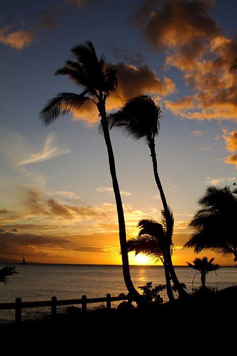 Maui Subset By Mary Tomaino Maui Sunsetphotography Travel Beaches
