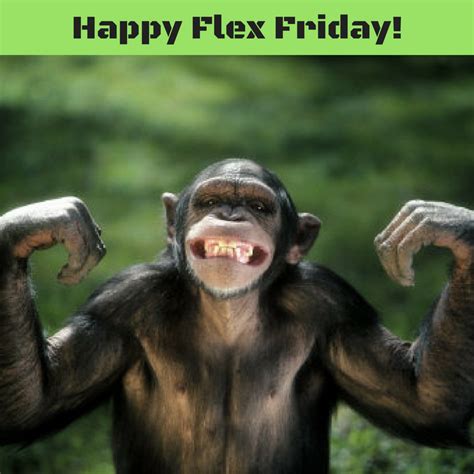 Happy Flex Friday From Homefront Fitness Workout Humor Friday